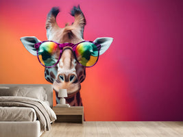 photo-wallpaper-giraffe-in-colourful-sunglasses-against-pink-and-orange