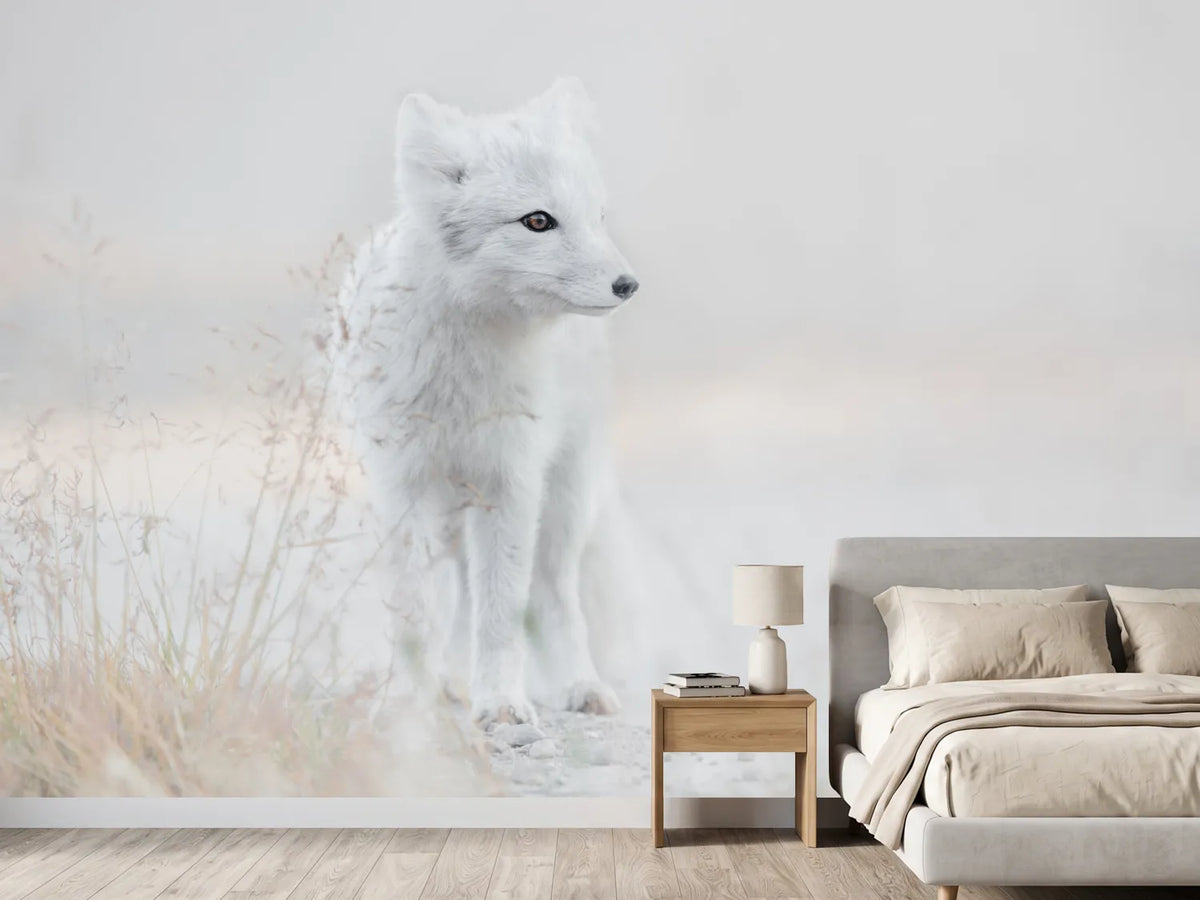 photo-wallpaper-looking-around