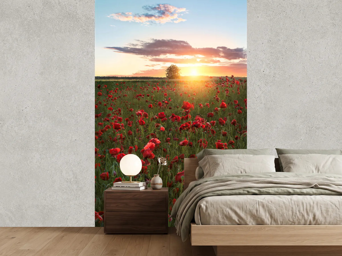 photo-wallpaper-poppy-fields-of-sweden