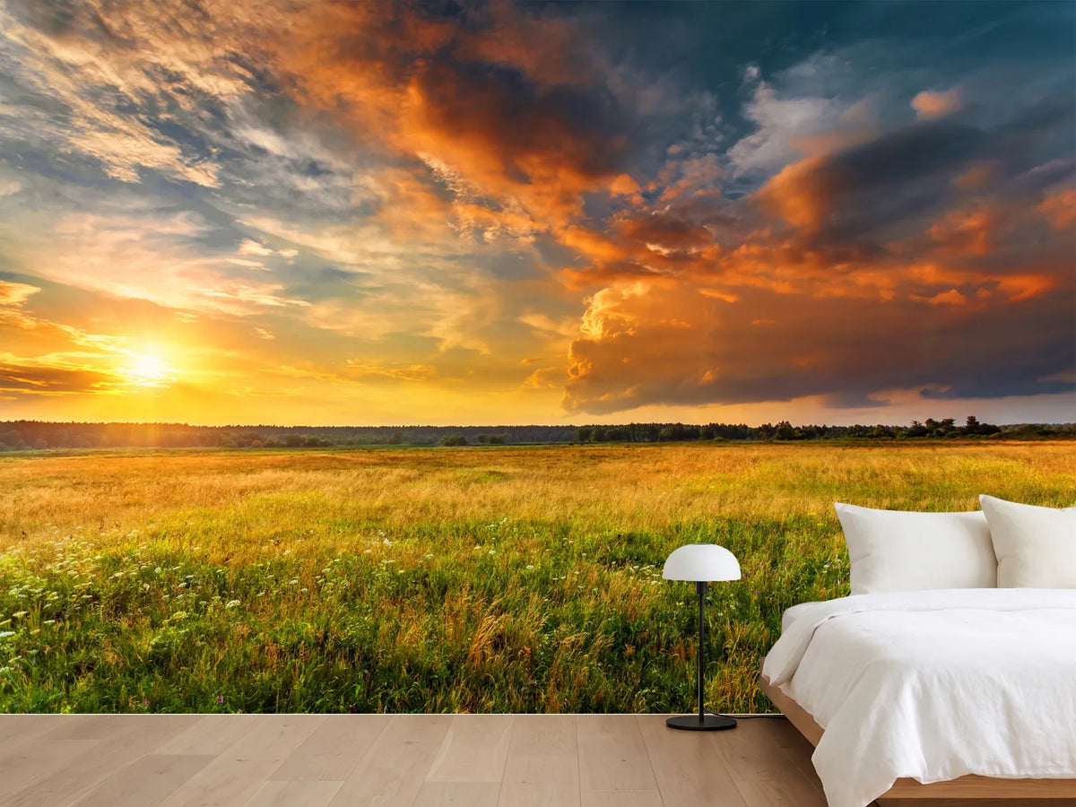 photo-wallpaper-wide-summer-meadow-under-glowing-clouds-at-sunset