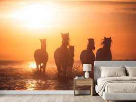 photo-wallpaper-camargue-angels-x