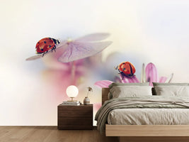 photo-wallpaper-last-days-of-summer-x