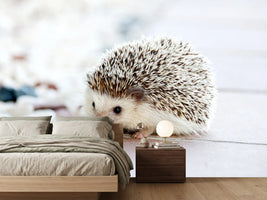 photo-wallpaper-the-hedgehog-baby