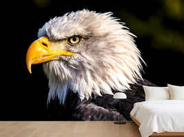 photo-wallpaper-the-eagle-head