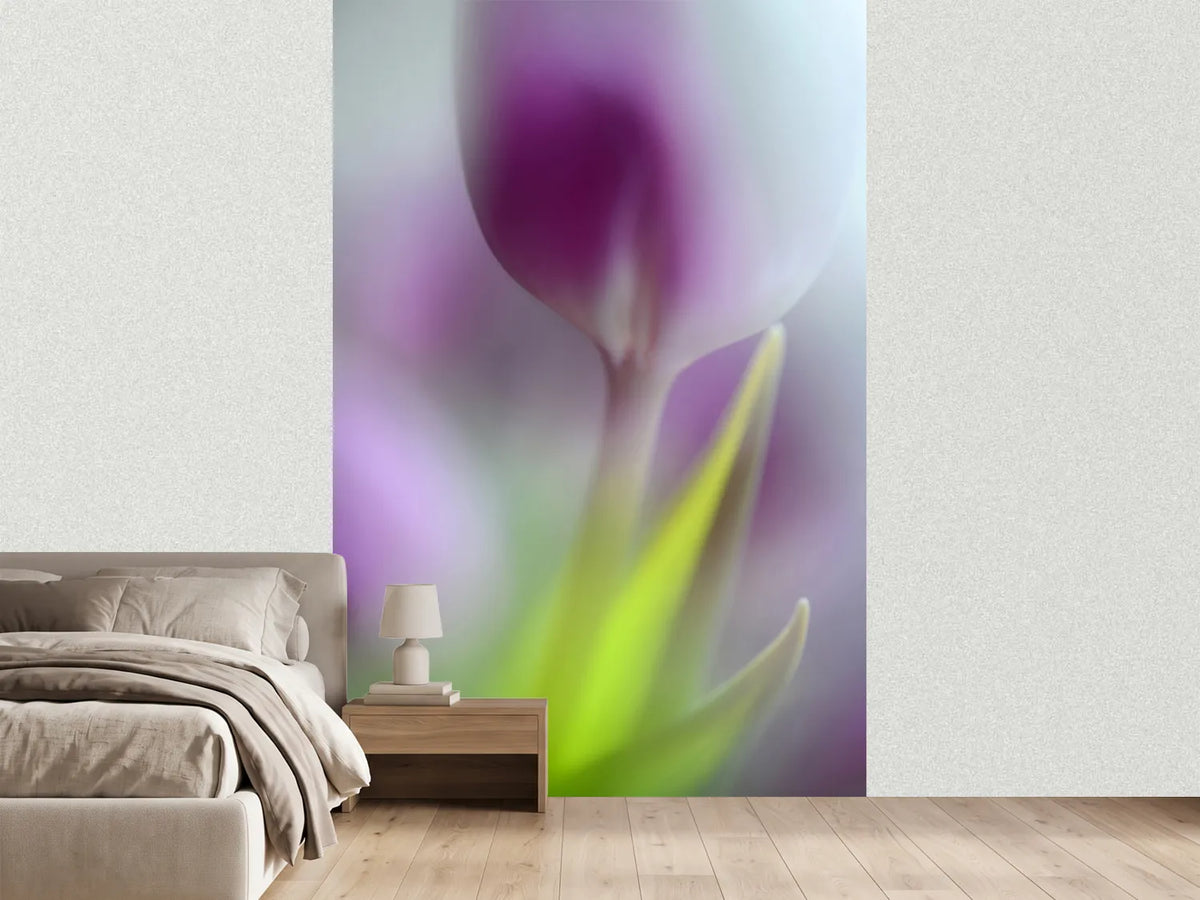 photo-wallpaper-soft-secrets