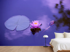 photo-wallpaper-lotus-flower