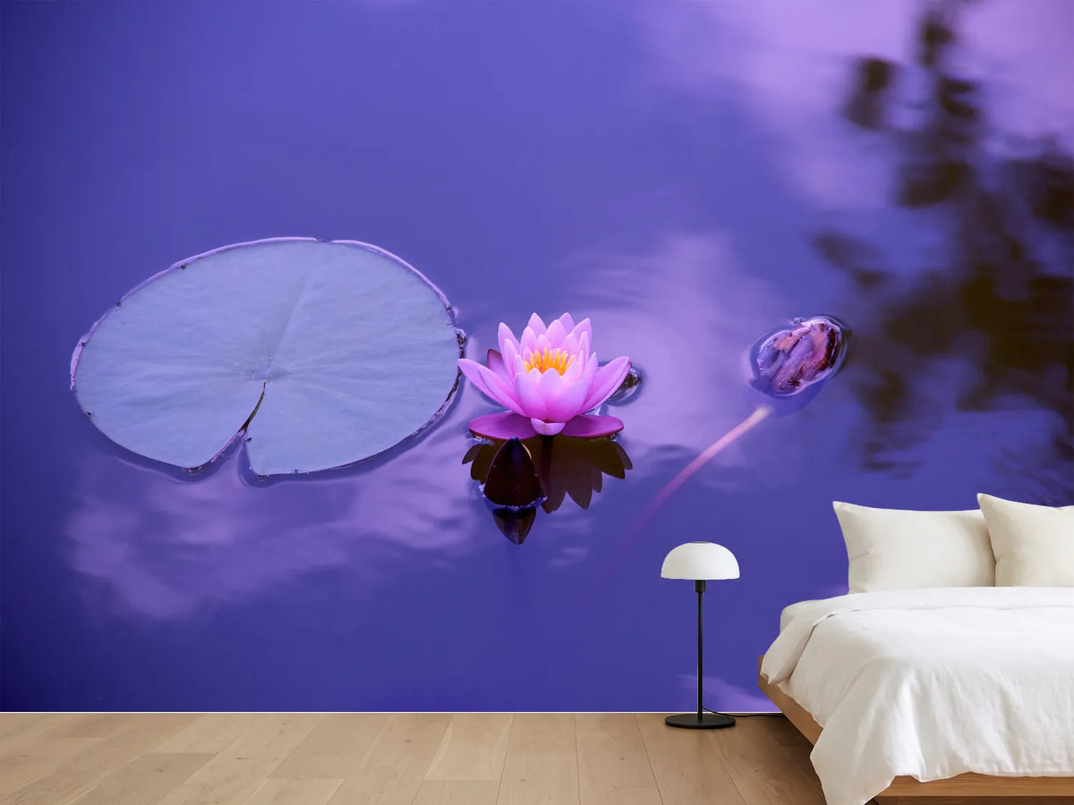 photo-wallpaper-lotus-flower