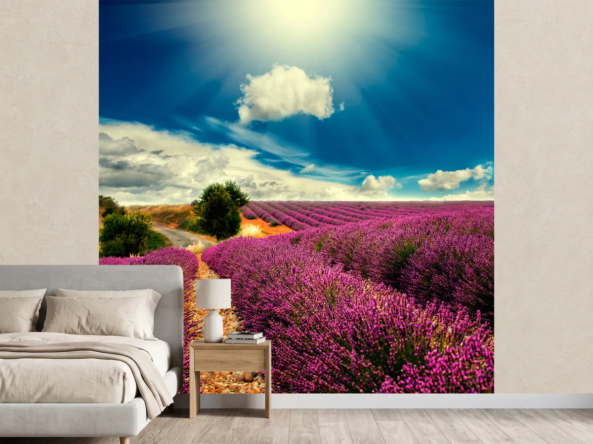 photo-wallpaper-the-lavender-valley