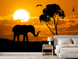 photo-wallpaper-dreamy-africa