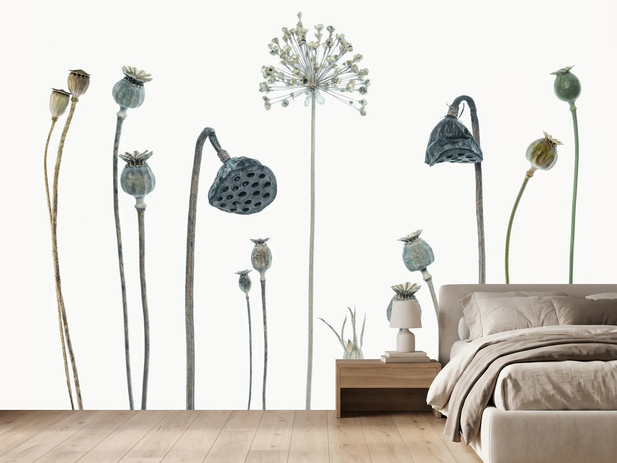 photo-wallpaper-seed-heads-x