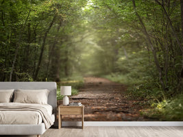 photo-wallpaper-beautiful-green-summer-forest-spring-background-backdrop