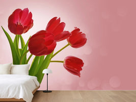 photo-wallpaper-red-tulips-bouquet