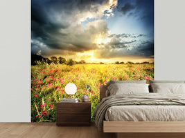 photo-wallpaper-flowers-landscape