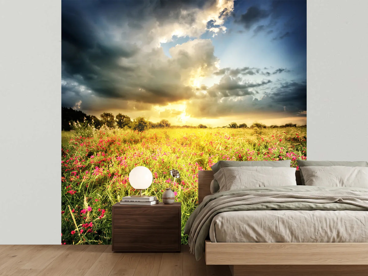 photo-wallpaper-flowers-landscape