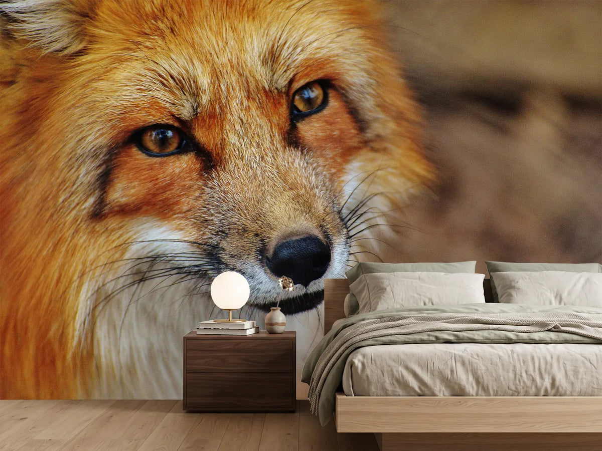 photo-wallpaper-the-fox