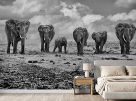photo-wallpaper-big-family