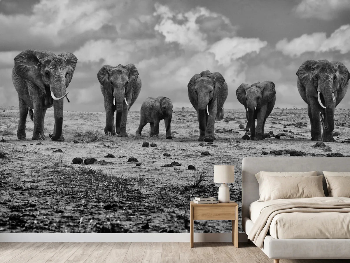 photo-wallpaper-big-family