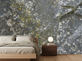 photo-wallpaper-lichen-covered-rock-texture