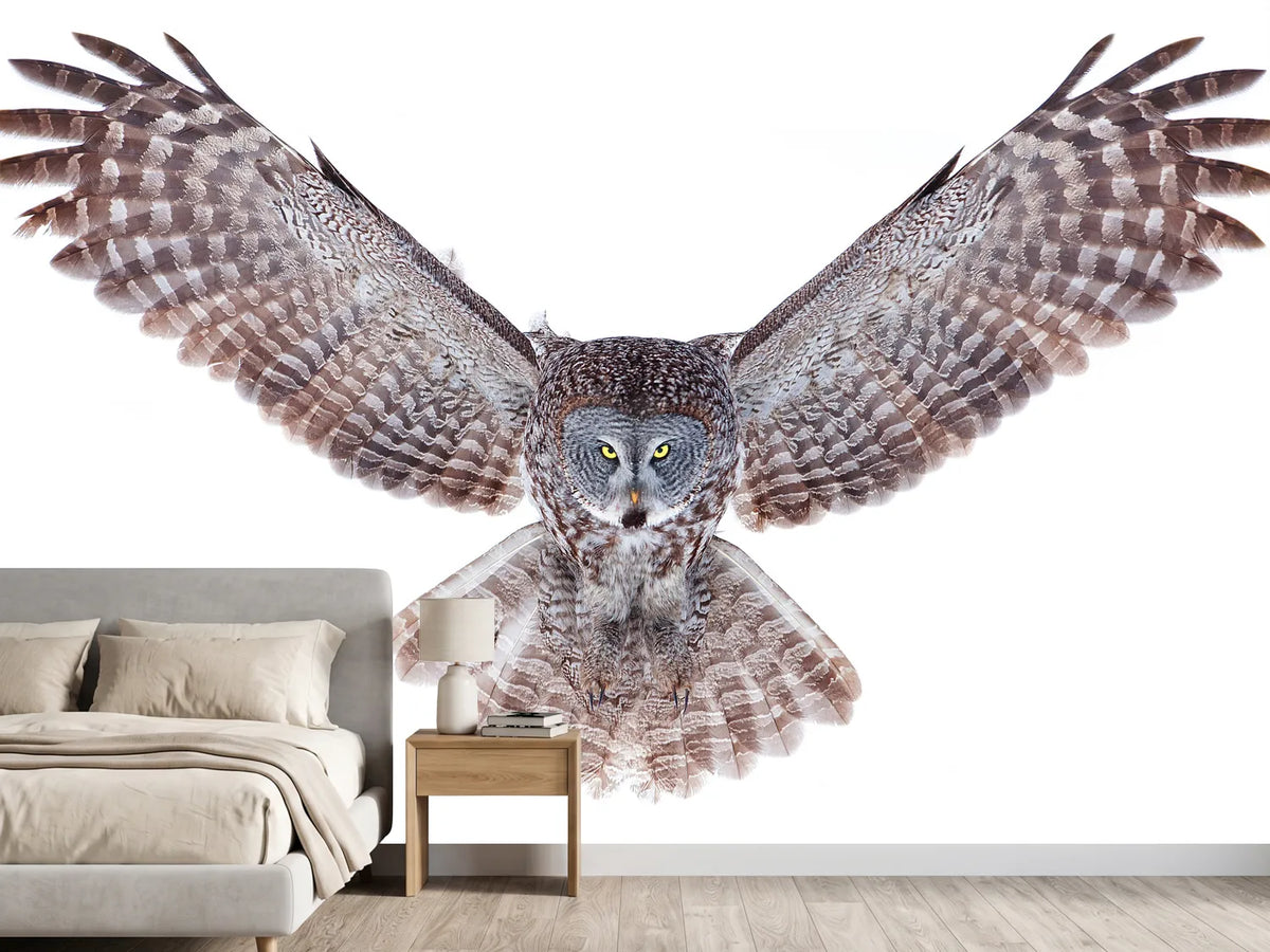 photo-wallpaper-power-great-grey-owl