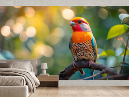photo-wallpaper-colorful-bird-sitting-on-the-branch-with-bokeh-background