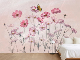 photo-wallpaper-pink-cosmos-butterfly