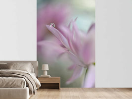 photo-wallpaper-in-pink-delight