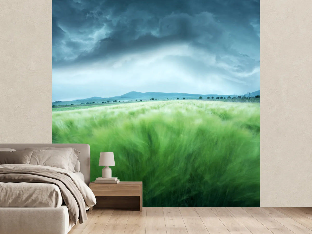 photo-wallpaper-barley-field