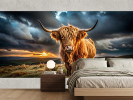 photo-wallpaper-highland-cow-in-low-light-on-bodmin-moor-cornwall-uk