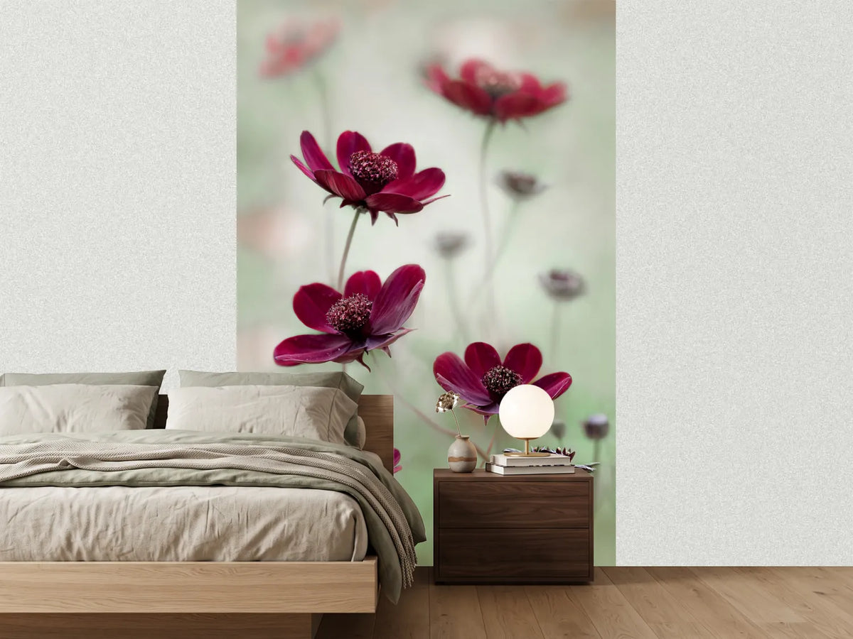 photo-wallpaper-cosmos-sway-x