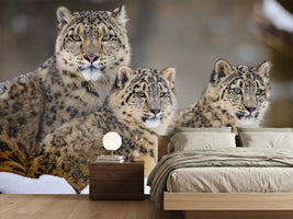 photo-wallpaper-family-xuu