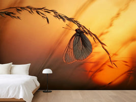 photo-wallpaper-good-night