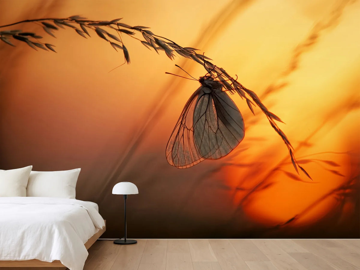 photo-wallpaper-good-night