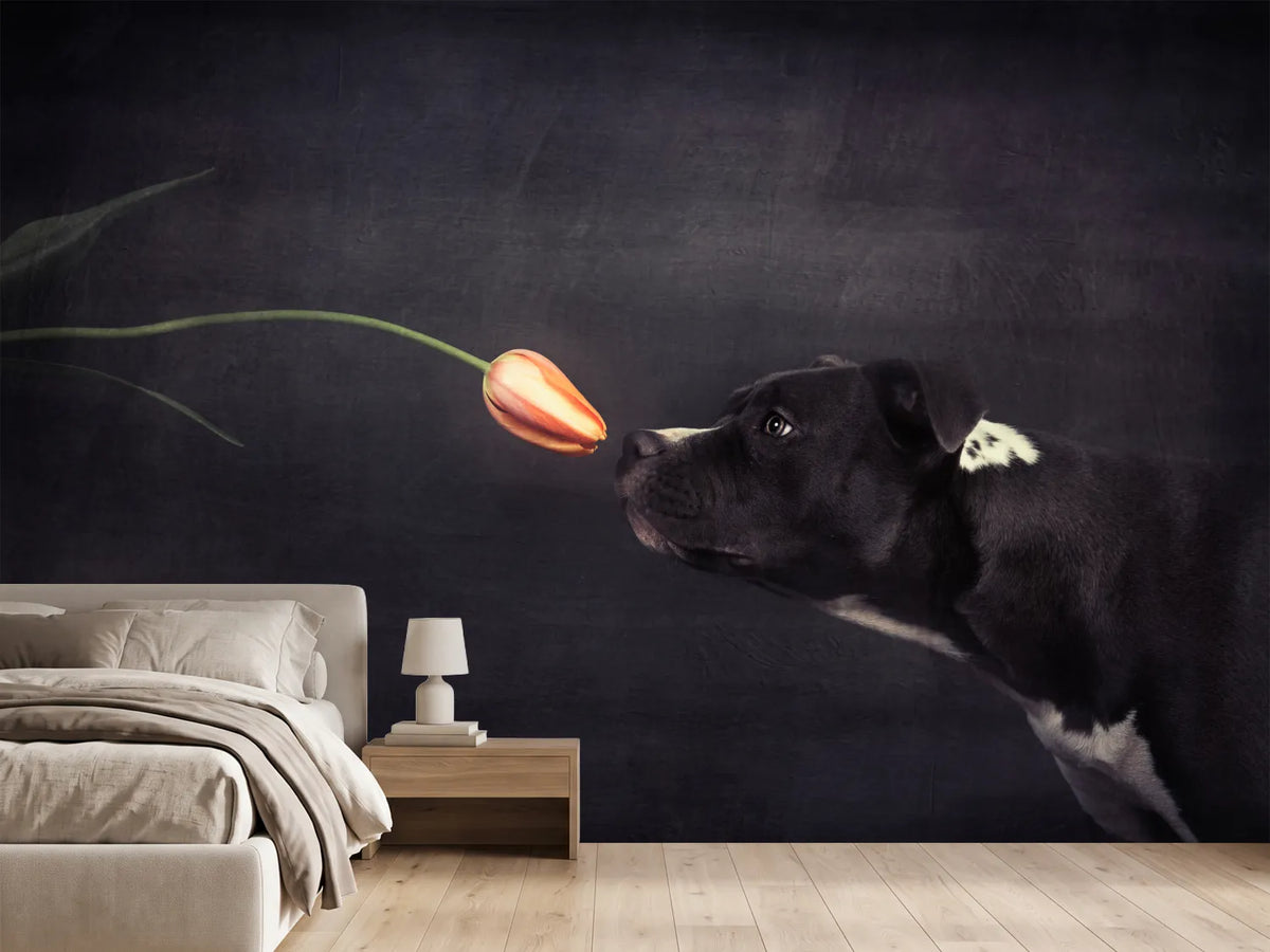 photo-wallpaper-first-approach-hildegard-and-the-tulip