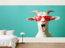 photo-wallpaper-laughing-goat-in-red-sunglasses-against-turquoise