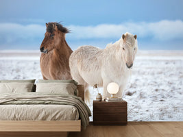 photo-wallpaper-winter-horses-in-snow