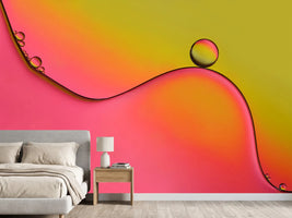 photo-wallpaper-during