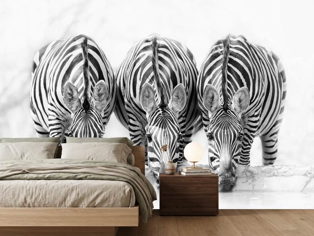 photo-wallpaper-zebras-xbj
