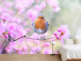 photo-wallpaper-spring-bird