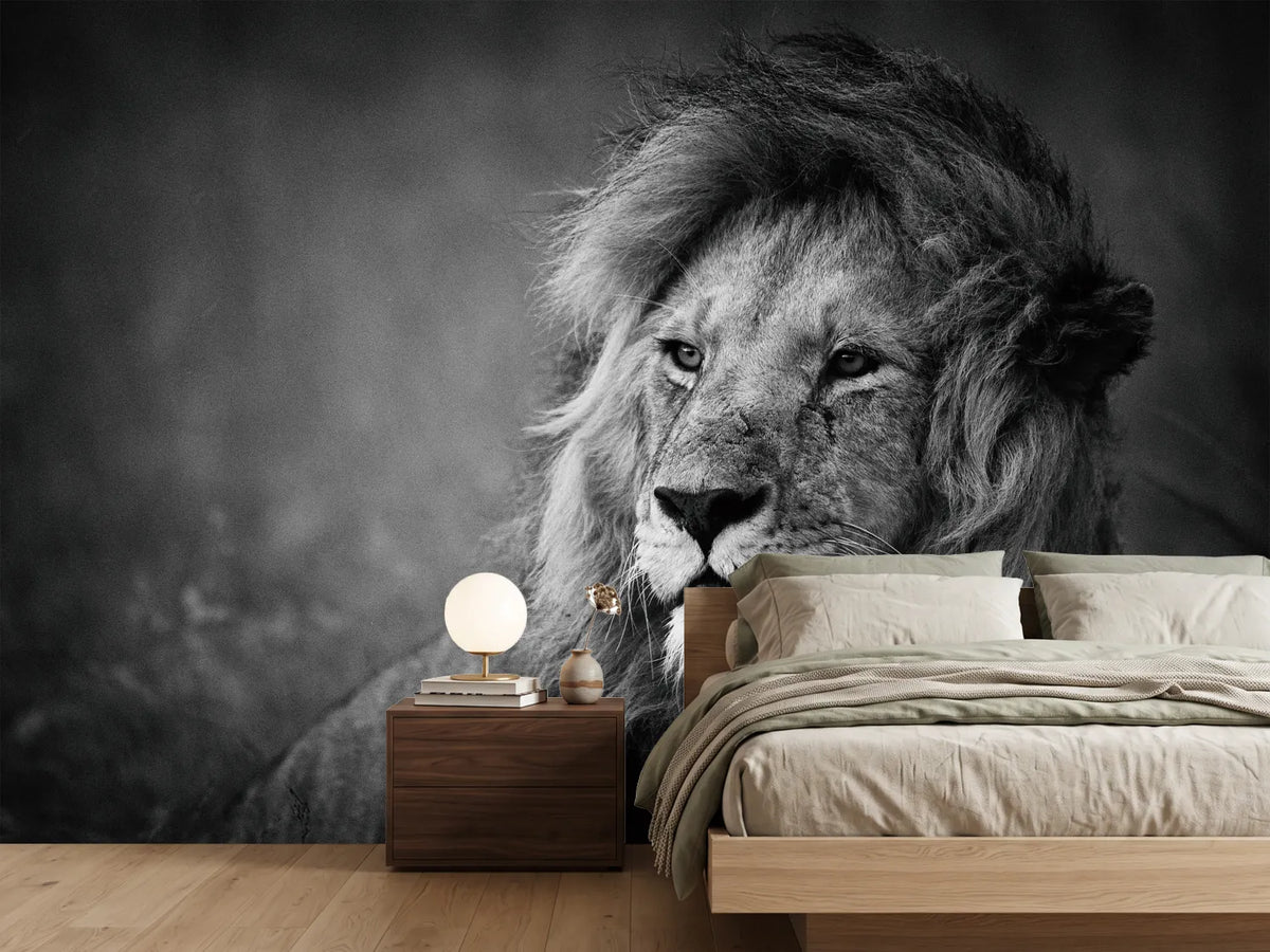 photo-wallpaper-regal-x