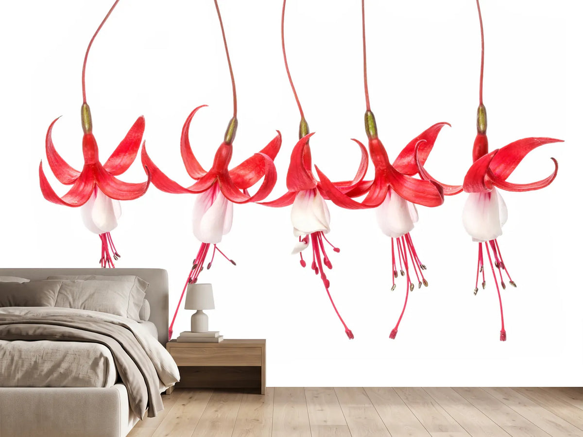 photo-wallpaper-fuchsia-x