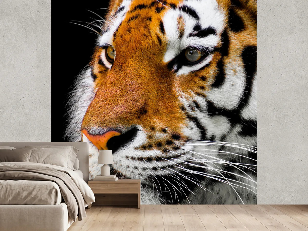 photo-wallpaper-close-up-tiger-head