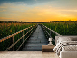 photo-wallpaper-sunset-in-the-fields