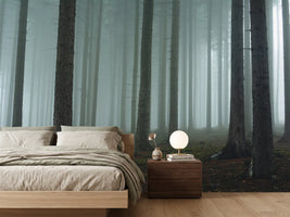 photo-wallpaper-foggy-forest-xcg