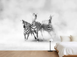 photo-wallpaper-zebras
