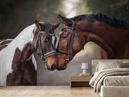 photo-wallpaper-two-horses-nose-to-nose-on-a-woodland-path-in-warm-light