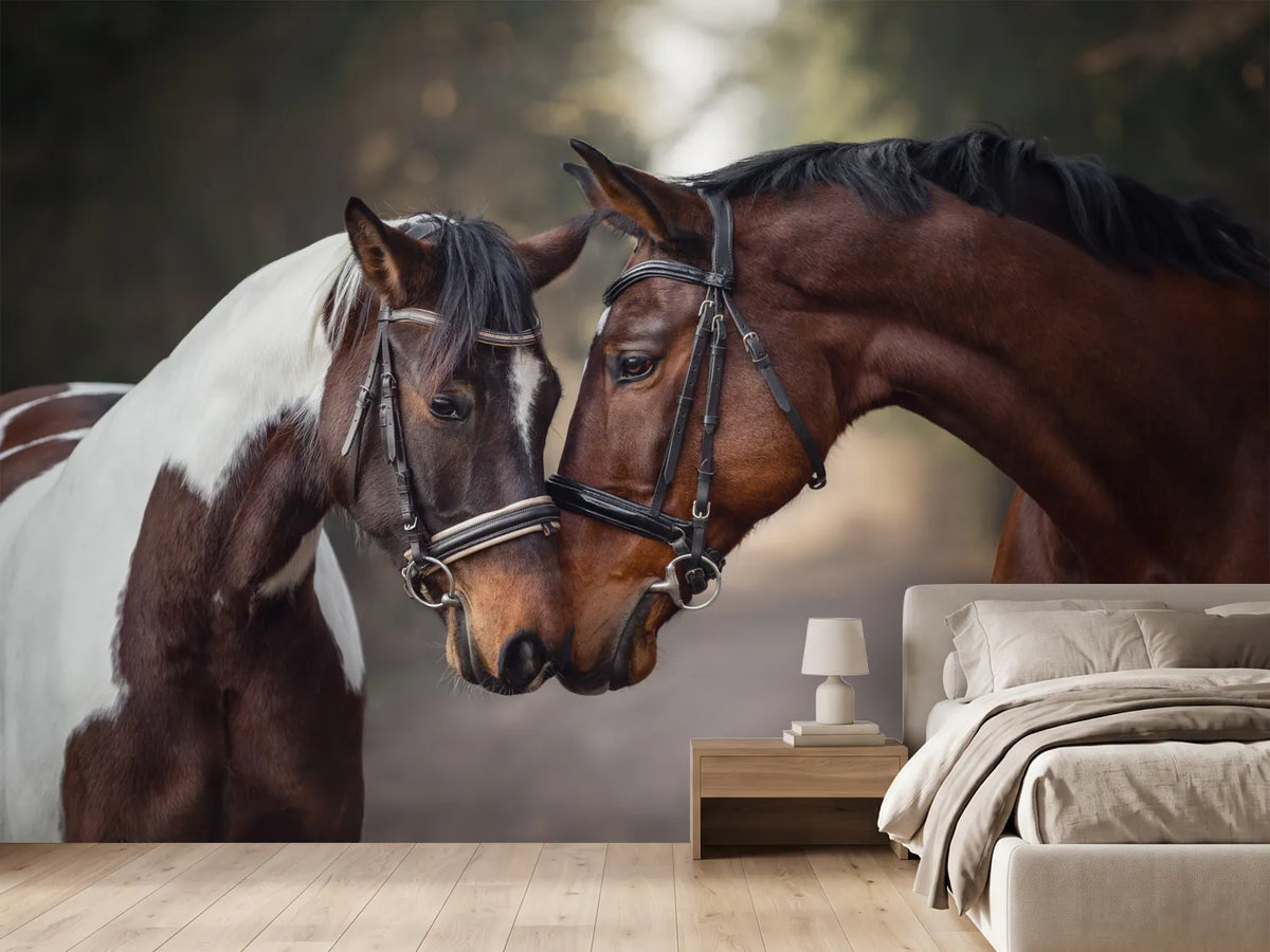 photo-wallpaper-two-horses-nose-to-nose-on-a-woodland-path-in-warm-light
