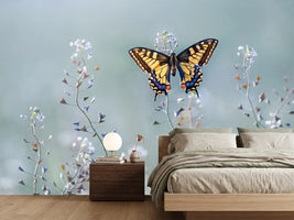 photo-wallpaper-swallowtail-beauty