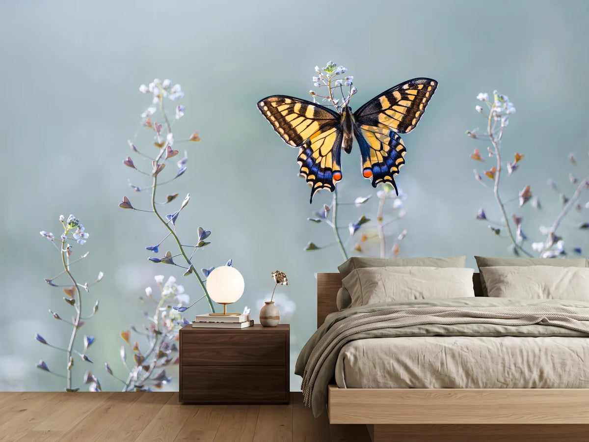photo-wallpaper-swallowtail-beauty