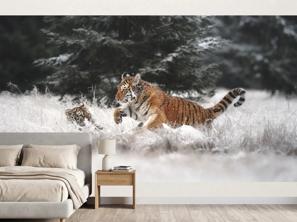 photo-wallpaper-playful-winter-tigers