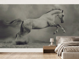 photo-wallpaper-leaping-horse-dust